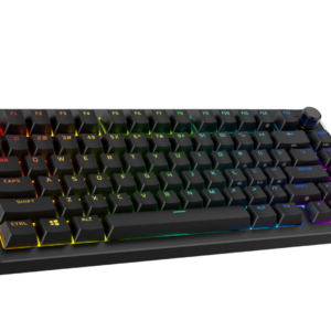 Tastatura HyperX Alloy Rise 75 layout US