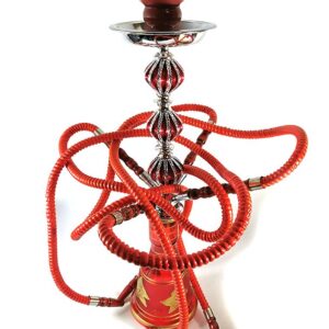 Narghilea Rosie 55cm 4 furtune - NL-4E2303