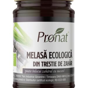 Melasa bio din trestie de zahar, 400g Pronat