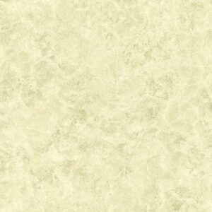 Tapet gri - crem in degrade Delen cod Z72029