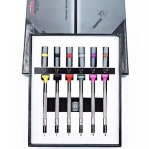 Set Surubelnite De precizie Biao Zhun 22003