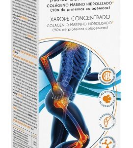 ArtiProtect Souple`s Forte sirop concentrat 500 ml Intersa Labs