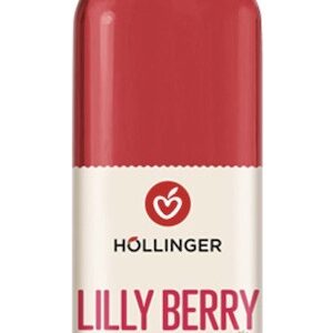 Sirop bio de fructe de padure 1:9 Lilly Berry, 500ml Hollinger