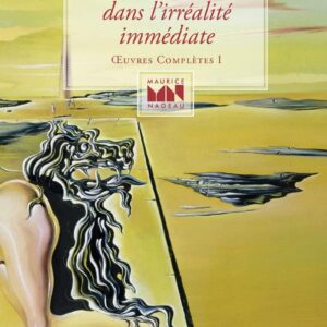 Aventure dans l'irrealite immediate