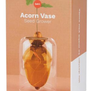 Vaza pentru germinare - Acorn