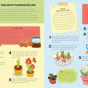 A Christmas Treasury of Recipes, Crafts and Wisdom