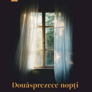 Douasprezece nopti si o dimineata