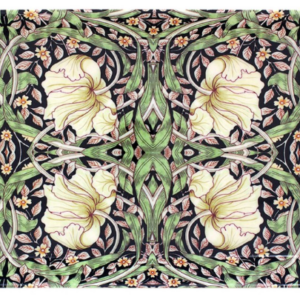 Tava pentru cani si pahare - Pimpernel