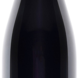 Vin rosu - 1000 de Chipuri - Pinot Noir, sec, 2020