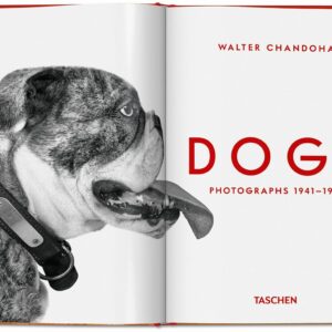 Walter Chandoha. Dogs