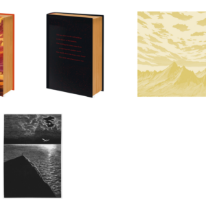 The Rose Field (Limited Edition)