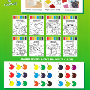 Kit creativ - Picteaza cu apa - Animale fericite