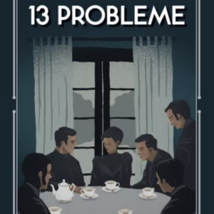 13 probleme