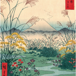 Puzzle 1000 piese - The Dybdhal - Fuji Champ