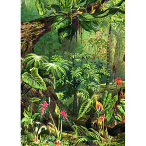 Puzzle 1000 de piese - The Dybdahl Co. - Jungle