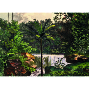 Puzzle 1000 de piese - The Dybdahl Co. - Cascade