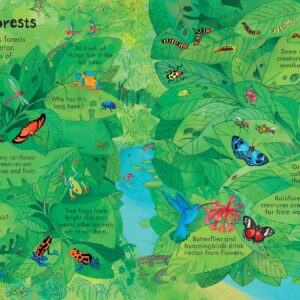 Look Inside Our World