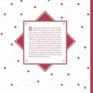 Harry Potter. Locuri si personaje magice