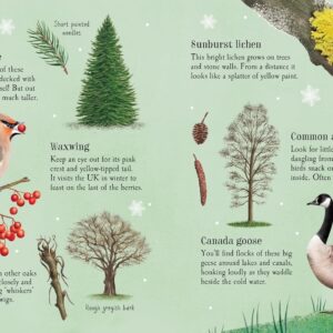 Things to Spot in Winter