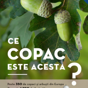 Ce copac este acesta?