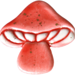 Brosa - Ciuperca rosie