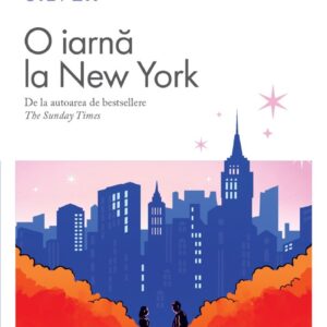 O iarna la New York