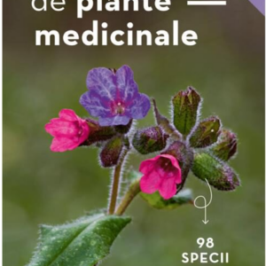 Mic determinator de plante medicinale