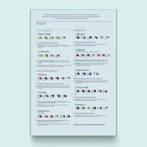 Puzzle clasic 1000 piese - Italy