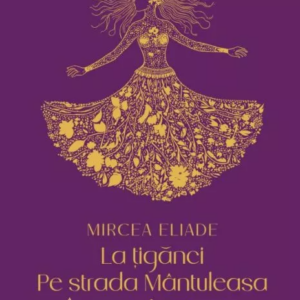 La tiganci. Pe strada Mantuleasa. In curte la Dionis