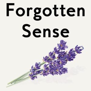 The Forgotten Sense