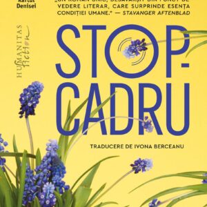 Stop-cadru