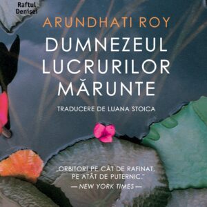 Dumnezeul lucrurilor marunte