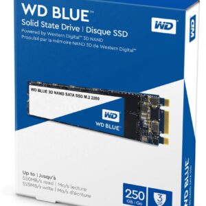 WD WDS250G2B0B