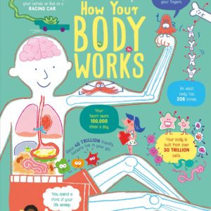 Lift the Flap How Your Body Works Usborne Books
