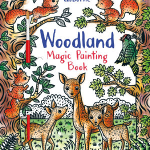 Woodland Magic Painting Book Usborne