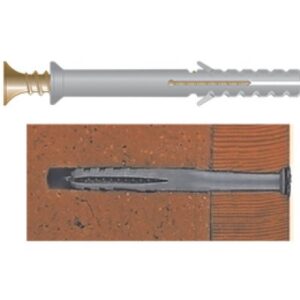 Cutie 100 bucati diblu + holz-surub 6x60 CC Rocast AA.0406060S