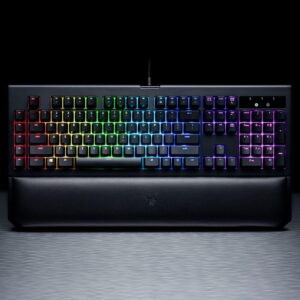 RAZER RZ03-02190700-R3M1