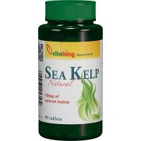 Alga marina (sea kelp) 90cpr VITAKING