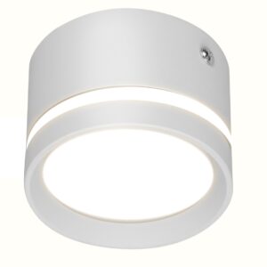 Aplica de Tavan Techstar® LED 10W, Alba, 6500K, Corp Aluminiu, Design Cilindric, Rezistenta la Umiditate, IP44