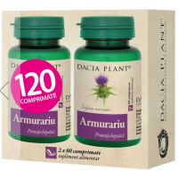 Armurariu 120cpr DACIA PLANT