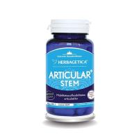 Articular stem 60cps HERBAGETICA