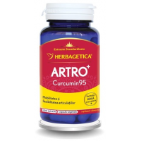 Artro curcumin95 120cps HERBAGETICA