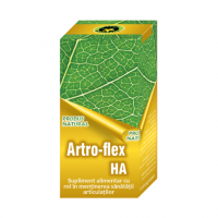 Artro-flex ha  60cps HYPERICUM