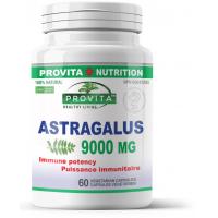 Astragalus 9000 60cps PROVITA