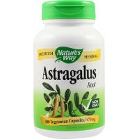 Astragalus 100cps NATURES WAY