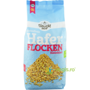 Fulgi Mici de Ovaz Integral Fara Gluten Ecologici/Bio 1kg