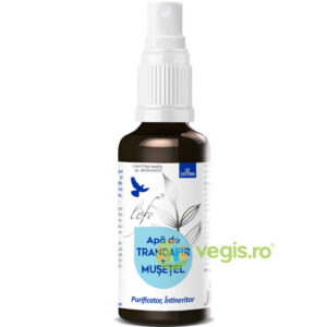 Apa de Trandafir si Musetel 100ml