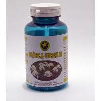 Branca ursului 60cps HYPERICUM