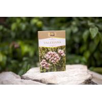 Ceai de valeriana 50gr STEF MAR