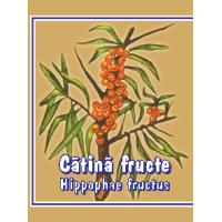 Ceai din fructe de catina 100gr CYANI